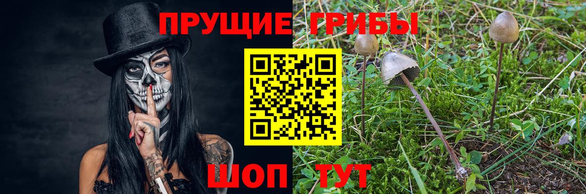 Галлюциногенные грибы GOLDEN TEACHER  Вход с VPN  Кизляр 